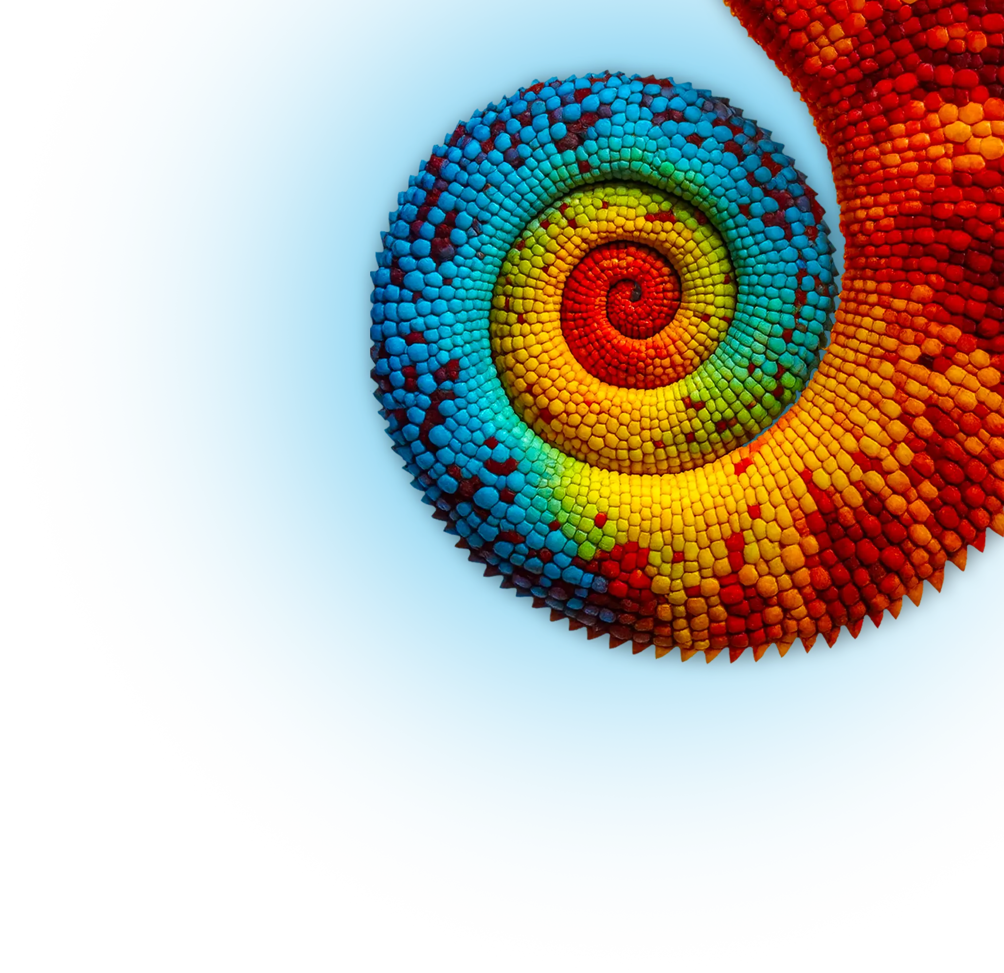 00_Header_Fotografico_01 2