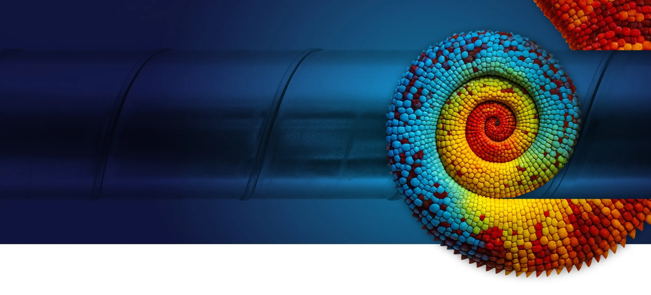 Climastore Group Chi siamo